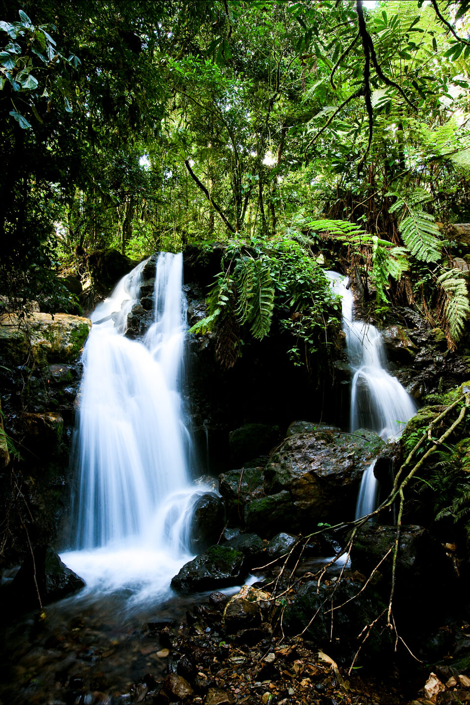 Waterfalls in Bwindi Impenetrable National Park