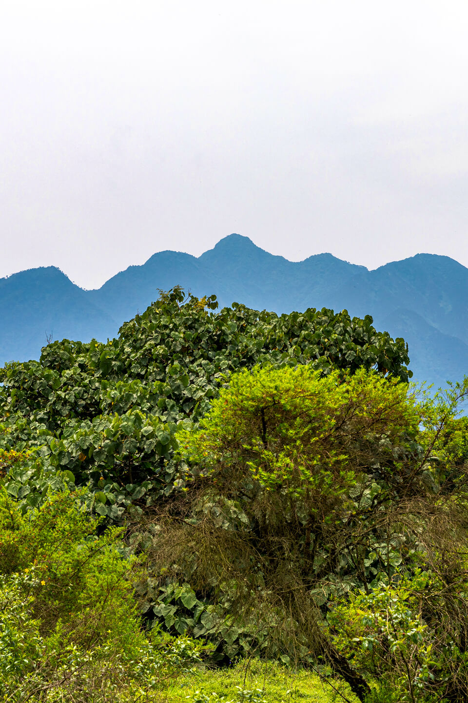 Uganda southwestern mountains