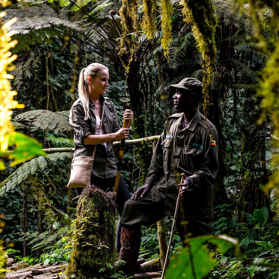 trekking-gorillas-uganda