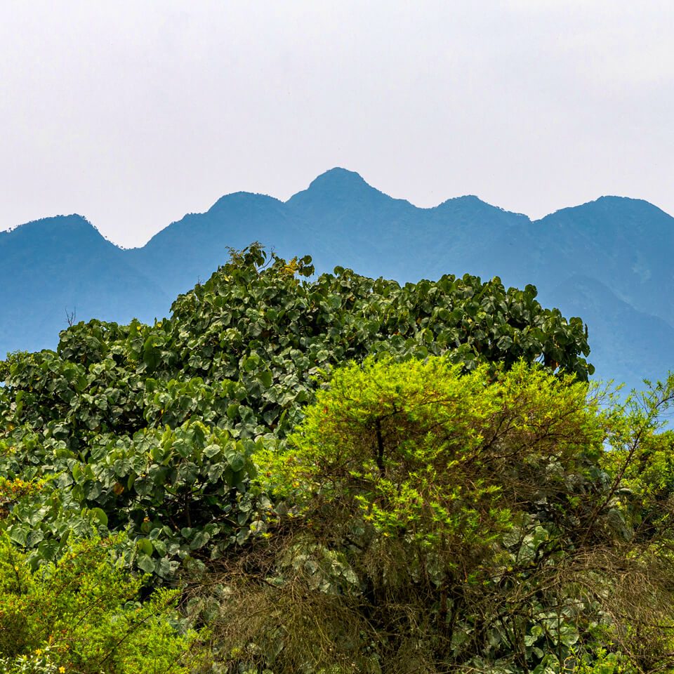 Uganda southwestern mountains