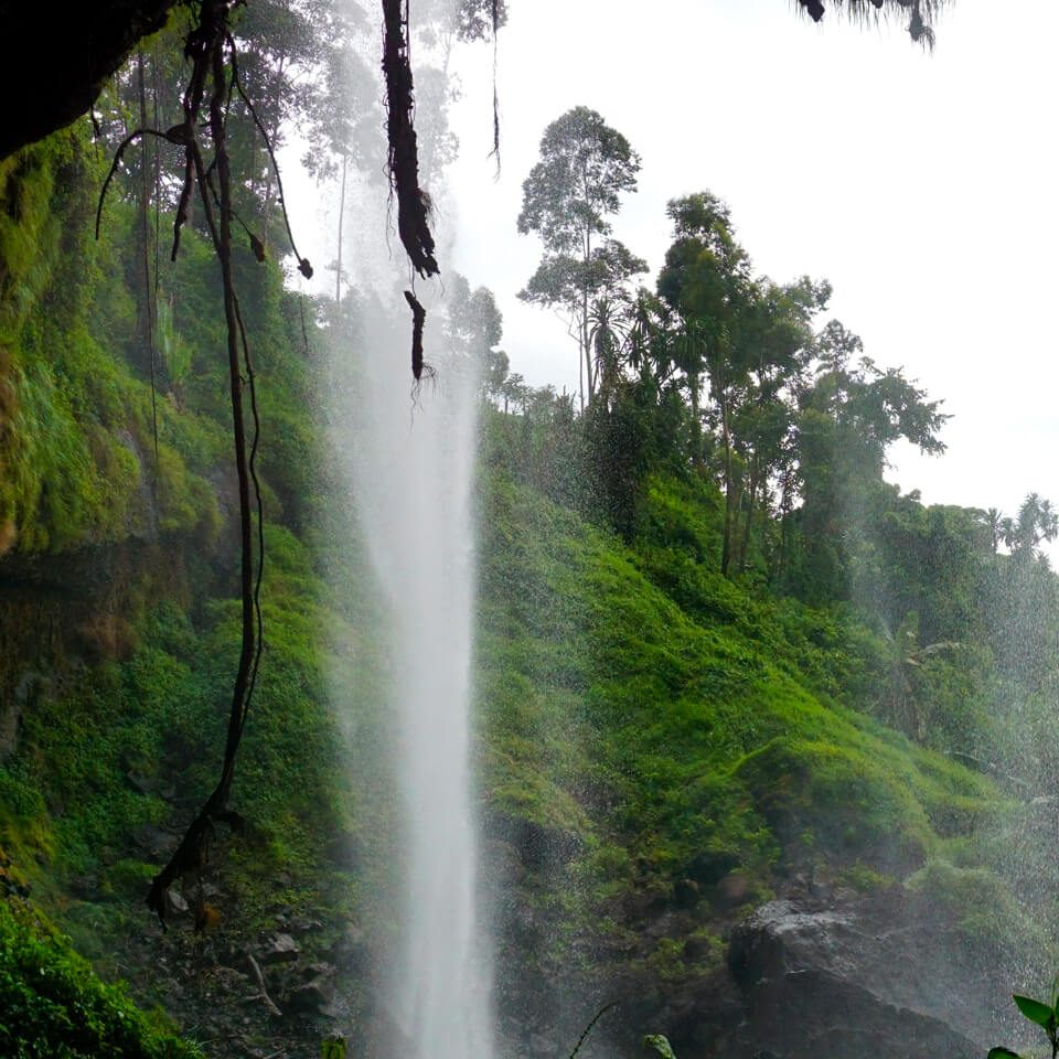 A view from under Sipi Falls in Mount Elgon