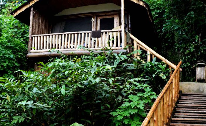 Kwezi Outdoors mountain gorilla tracking accommodation