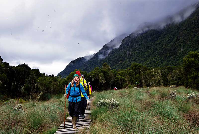 Hikers above the 3900 metre point in the Rwenzori Mountains+Uganda+travel_with+Kwez+Outdoors