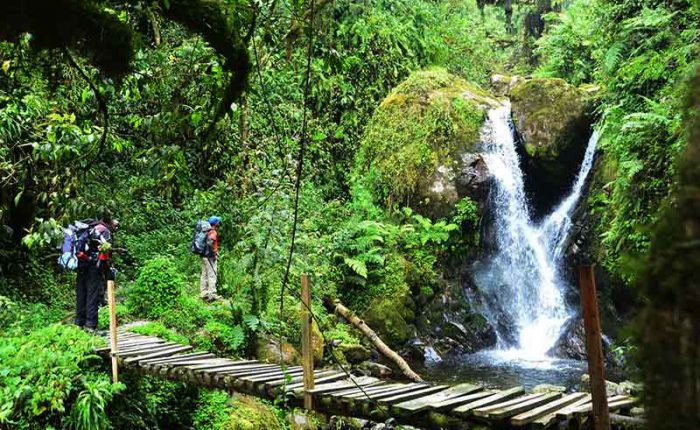 Waterfalls cover the Rwenzori mountain sides+Uganda+travel_with+Kwez+Outdoors
