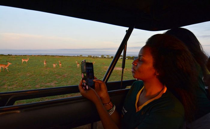 Tourist on a game drive in the Murchison Falls National Park, Uganda-travel with Kwezi Outdoors