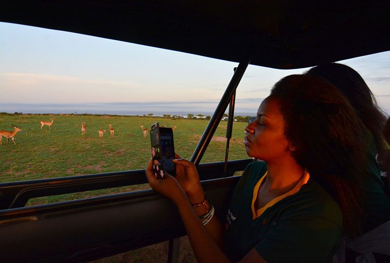 Tourist on a game drive in the Murchison Falls National Park, Uganda-travel with Kwezi Outdoors