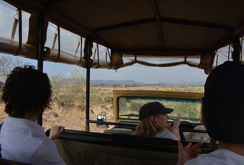 safari tour in kidepo valley national park in Uganda. Safari by kwezi outdoors